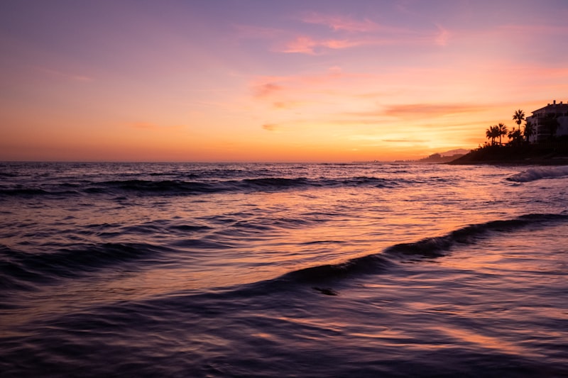 Marbella market report